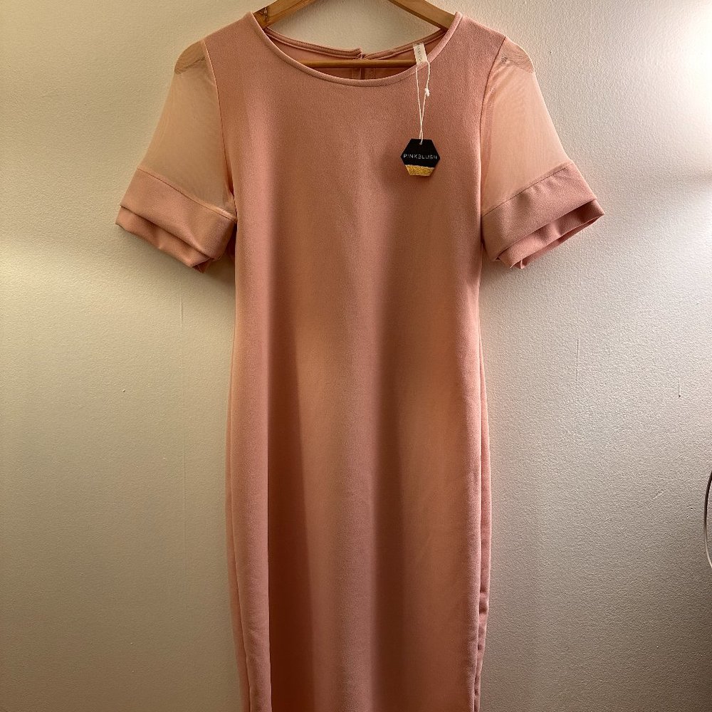 Pinkblush Dusty Rose Puff Sleeve Midi Dress